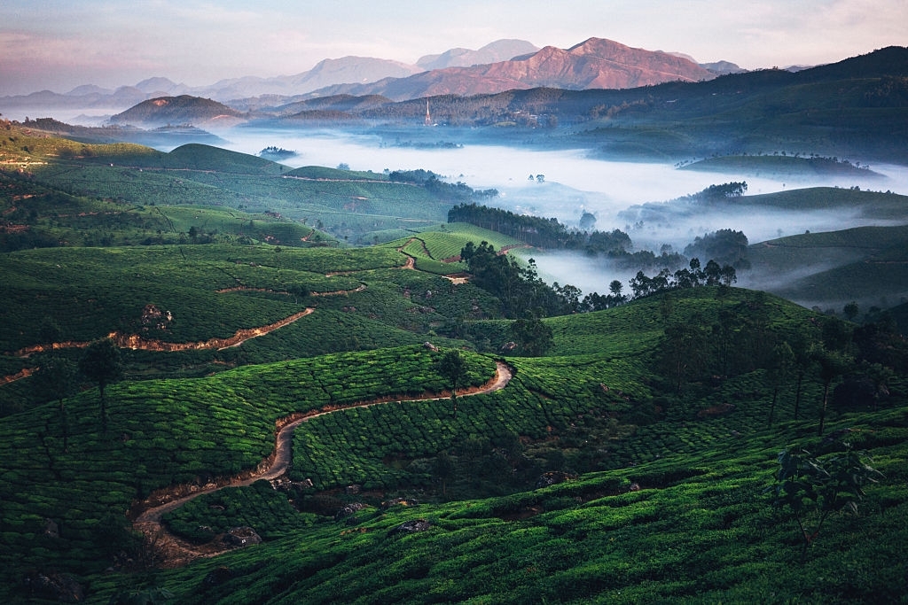 Attractions in Munnar