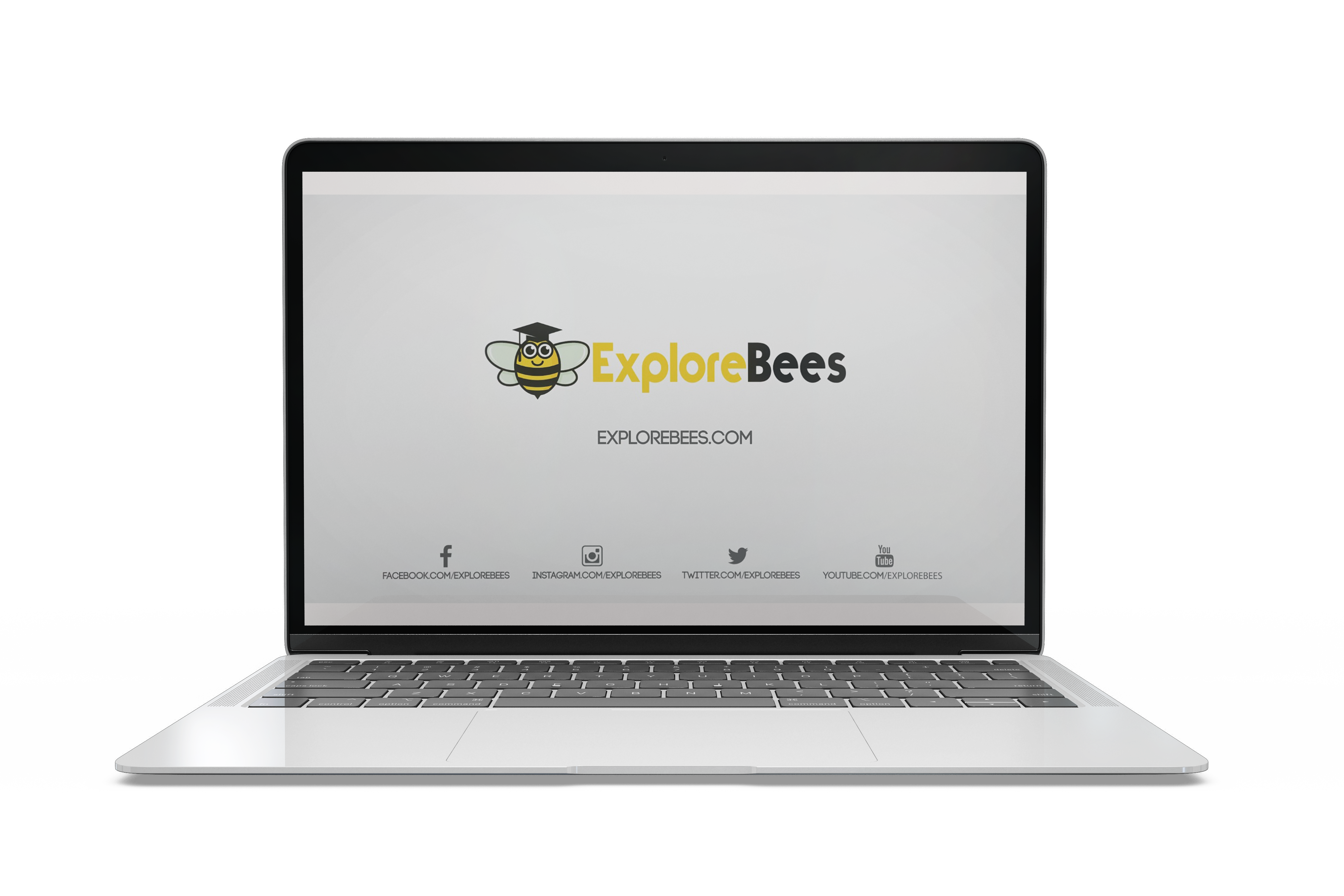 About ExploreBees Video 