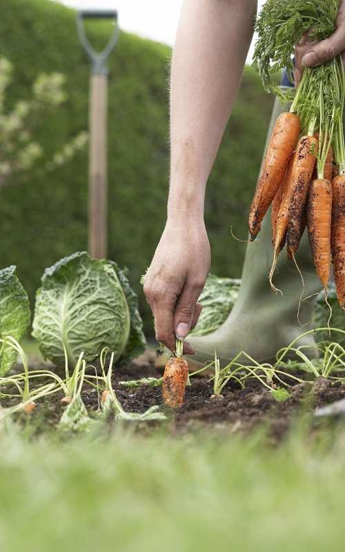 Agriculture Tours 