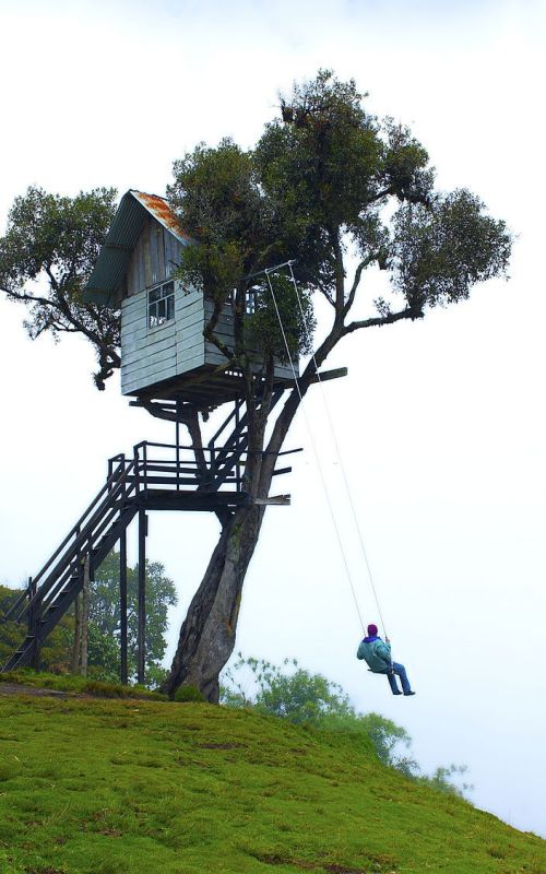 Tree house