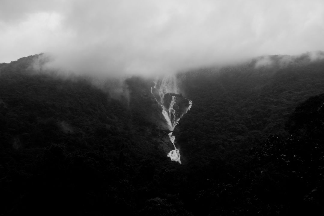 India (8)