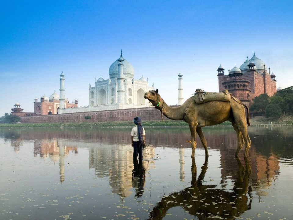 India (0)