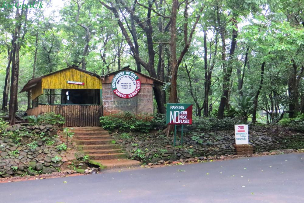 Bondla Wildlife SanctuaryZ (March 2023)  Timings,Tickets,reviews,Tips,Contact number| ExploreBees
