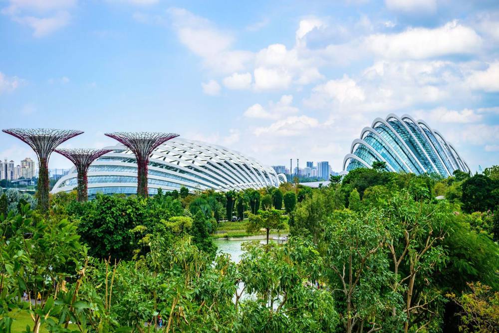 Gardens by the Bay (January 2021) Timings,Tickets,reviews  