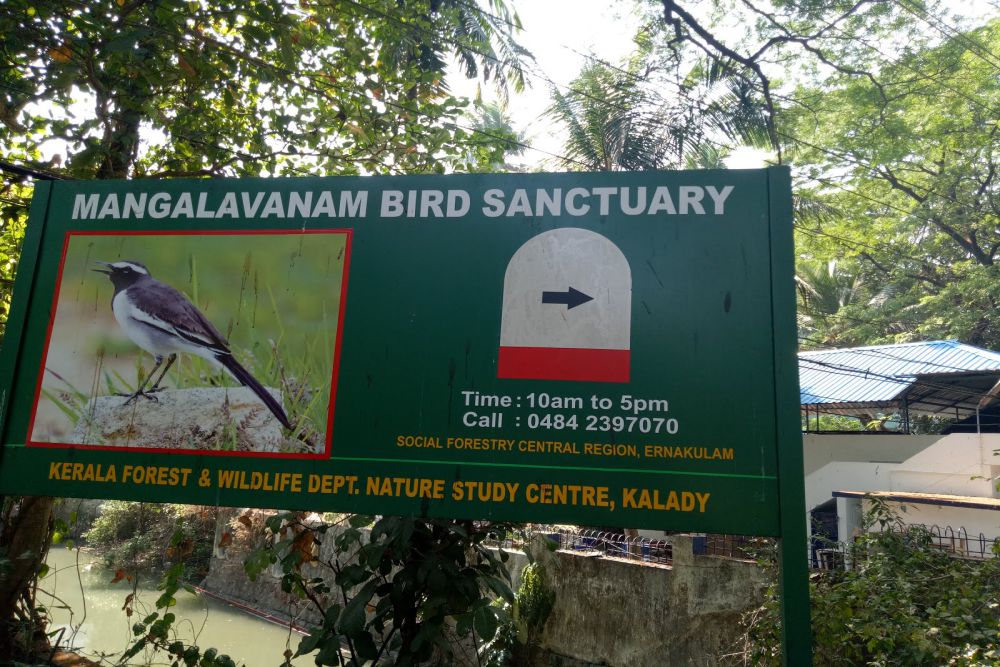 Mangalavanam Bird Sanctuary
