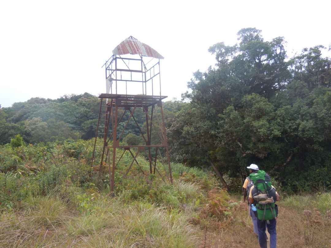 Brahmagiri Trek from bangalore