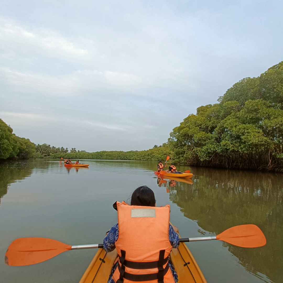 Discover Kayaking Bliss in Honnavar