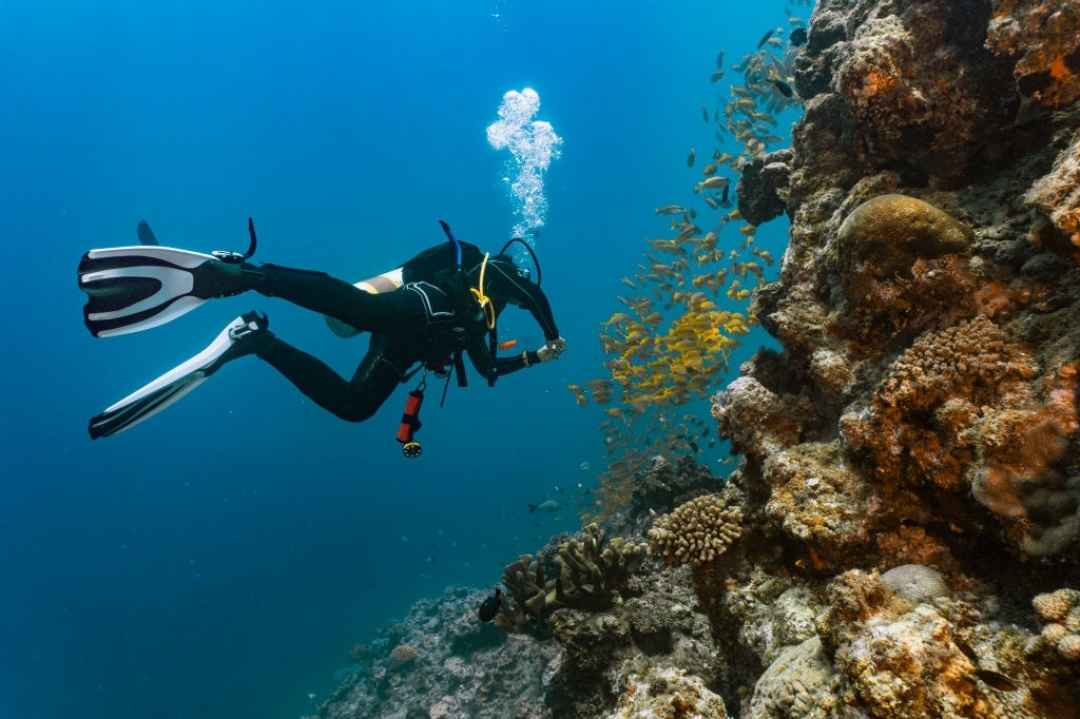 GOA SCUBA DIVE AND ISLAND VISIT TRIP