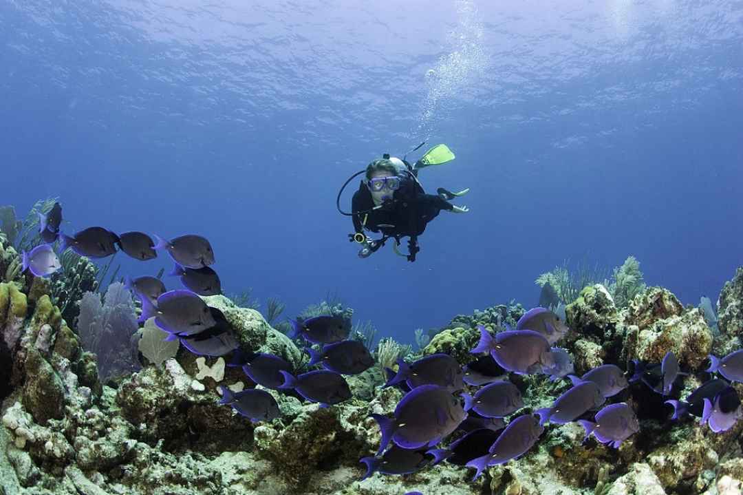 GOA SCUBA DIVE AND ISLAND VISIT TRIP(7)
