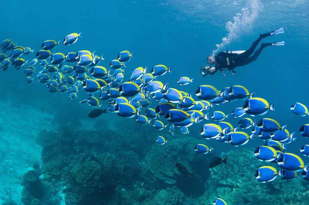 GOA SCUBA DIVE AND ISLAND VISIT TRIP