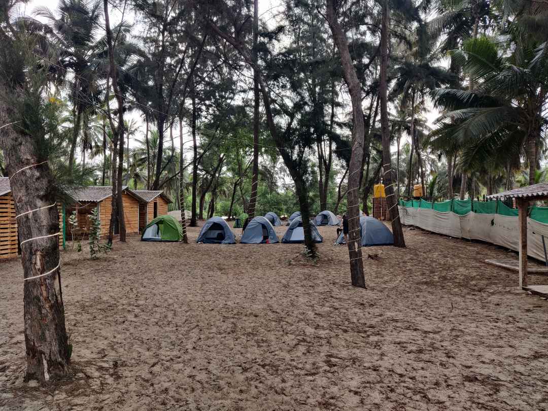 Gokarna Beach Trek and Camping