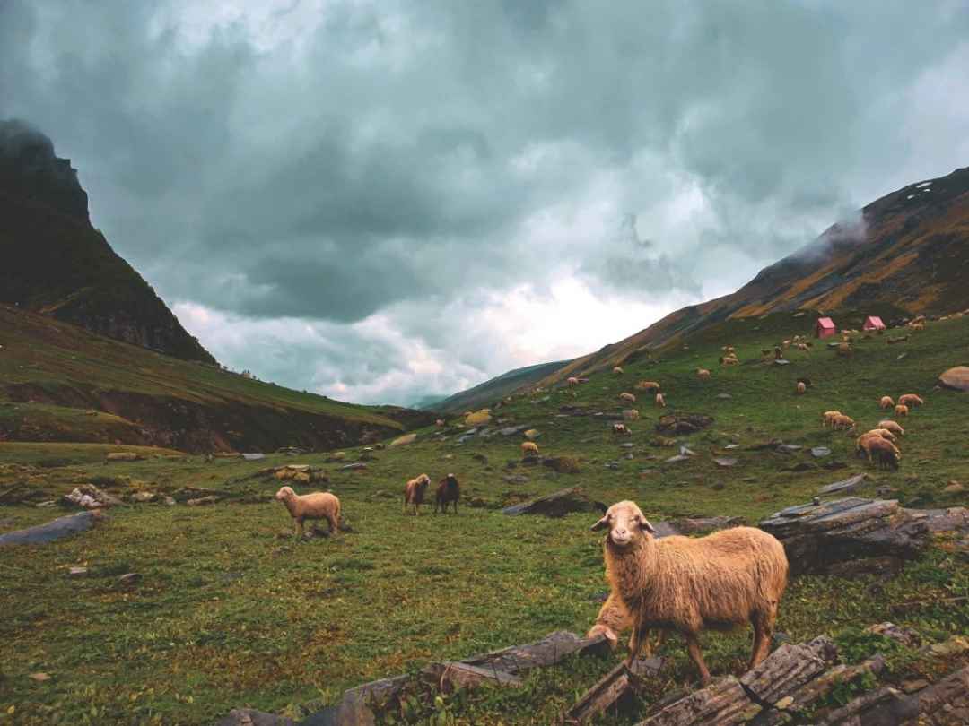 Himalayan Trek to Brahmatal