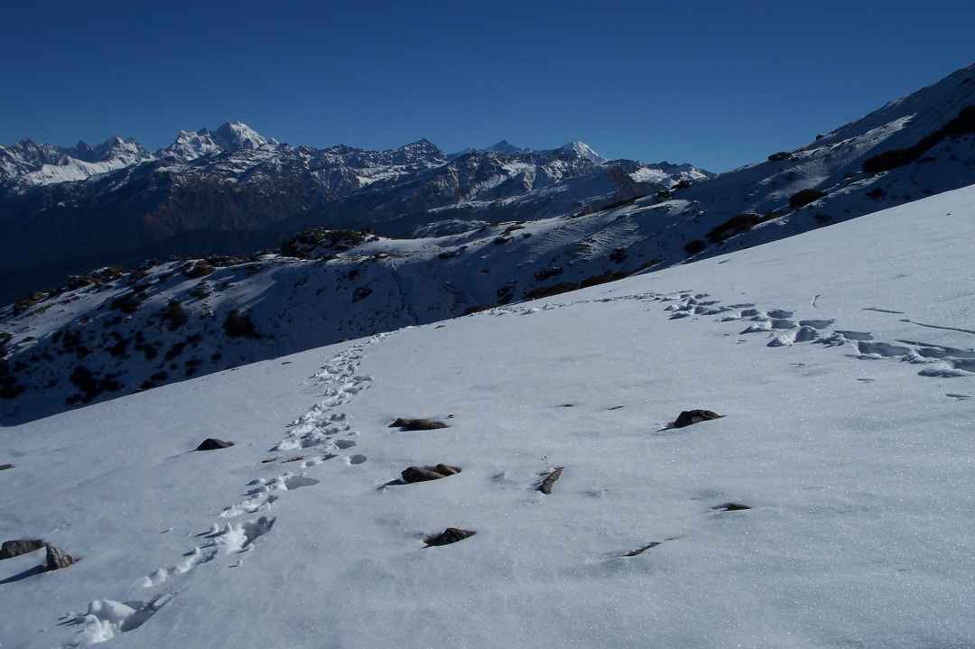 Kedarkantha Trek