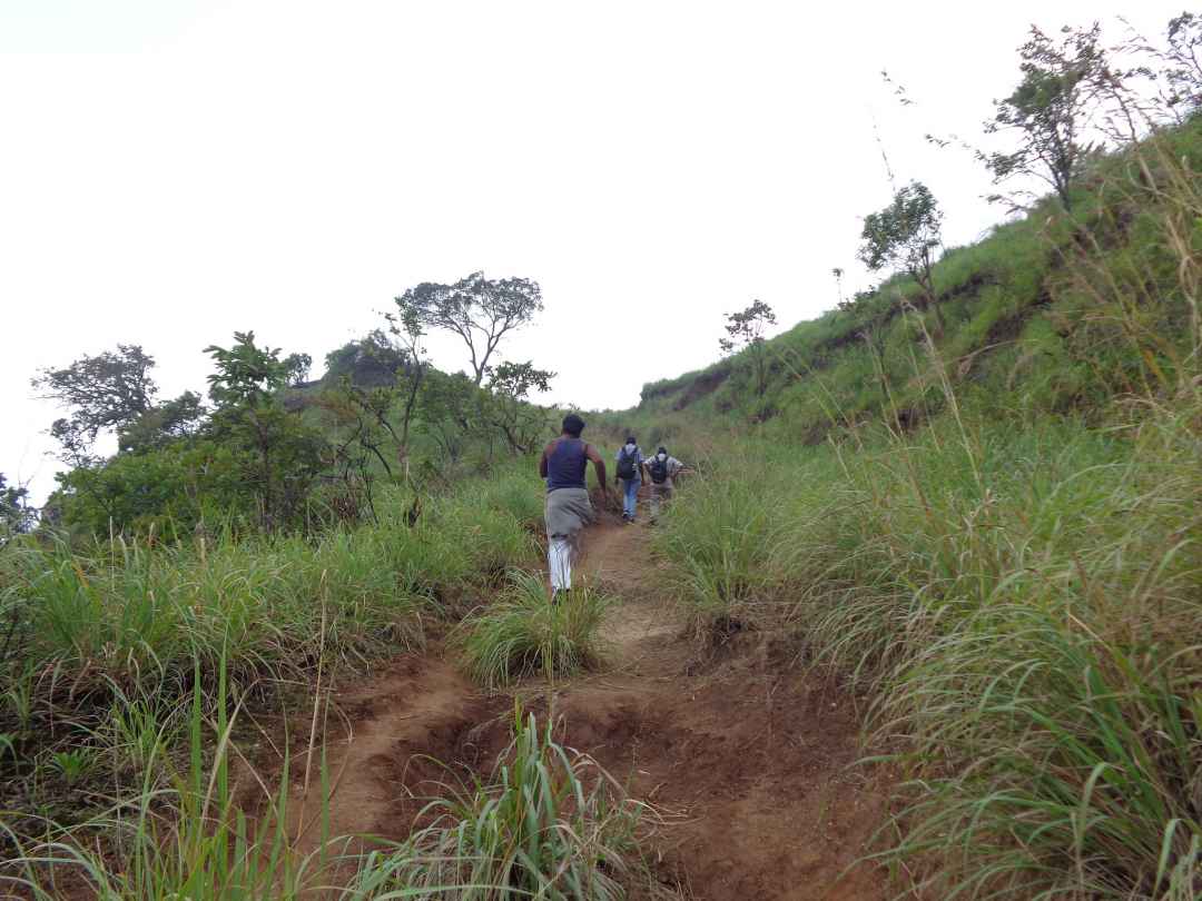 Kolukkumalai trek and camping from munnar