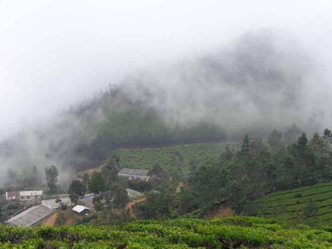 Kolukkumalai trek and camping from munnar