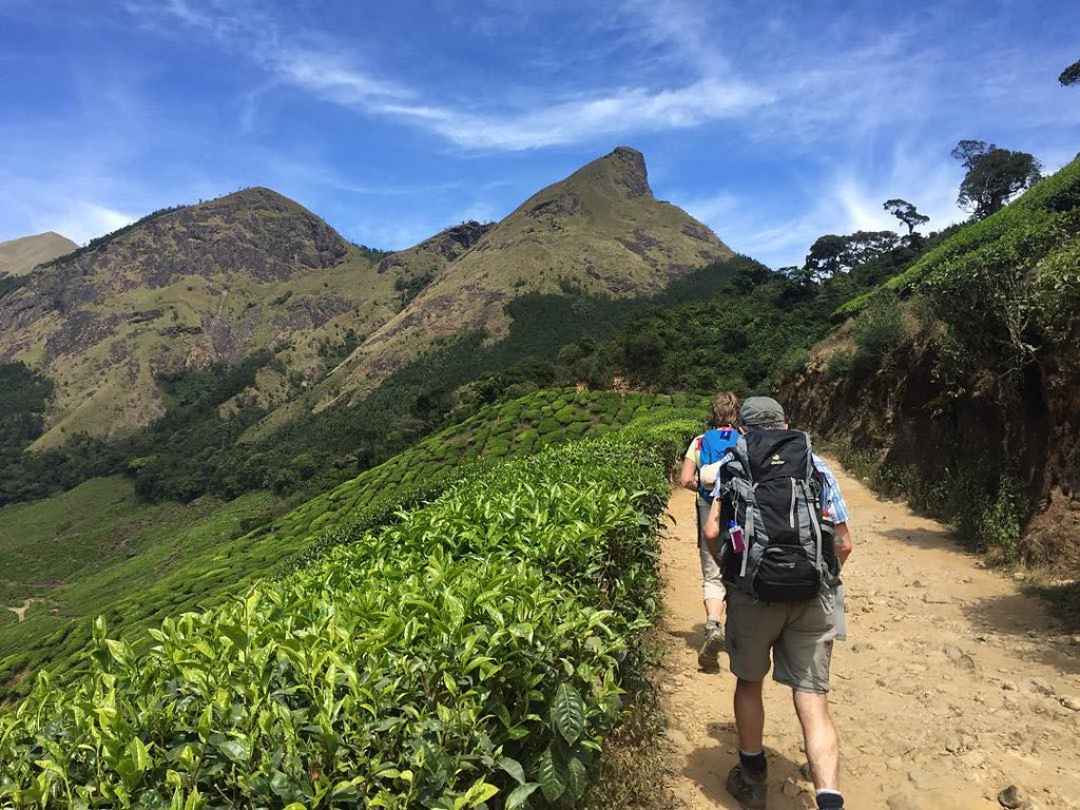 Kolukkumalai trek and camping from munnar