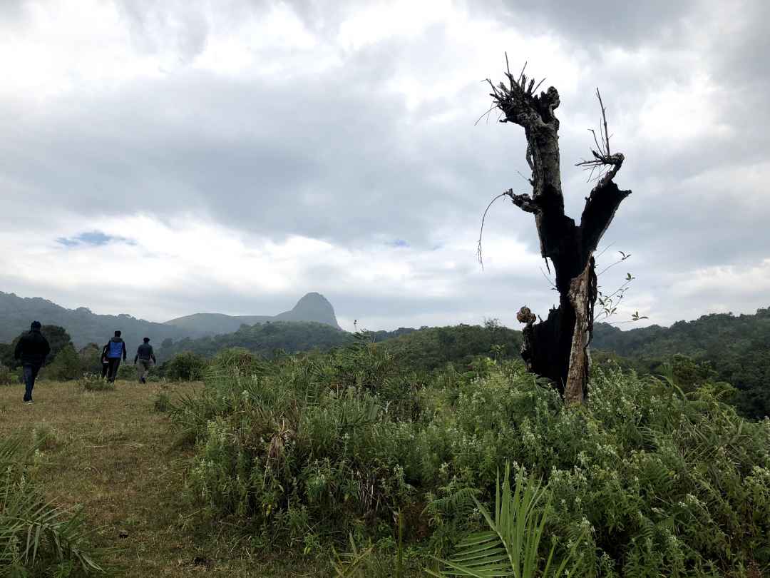 ombattu gudda trek