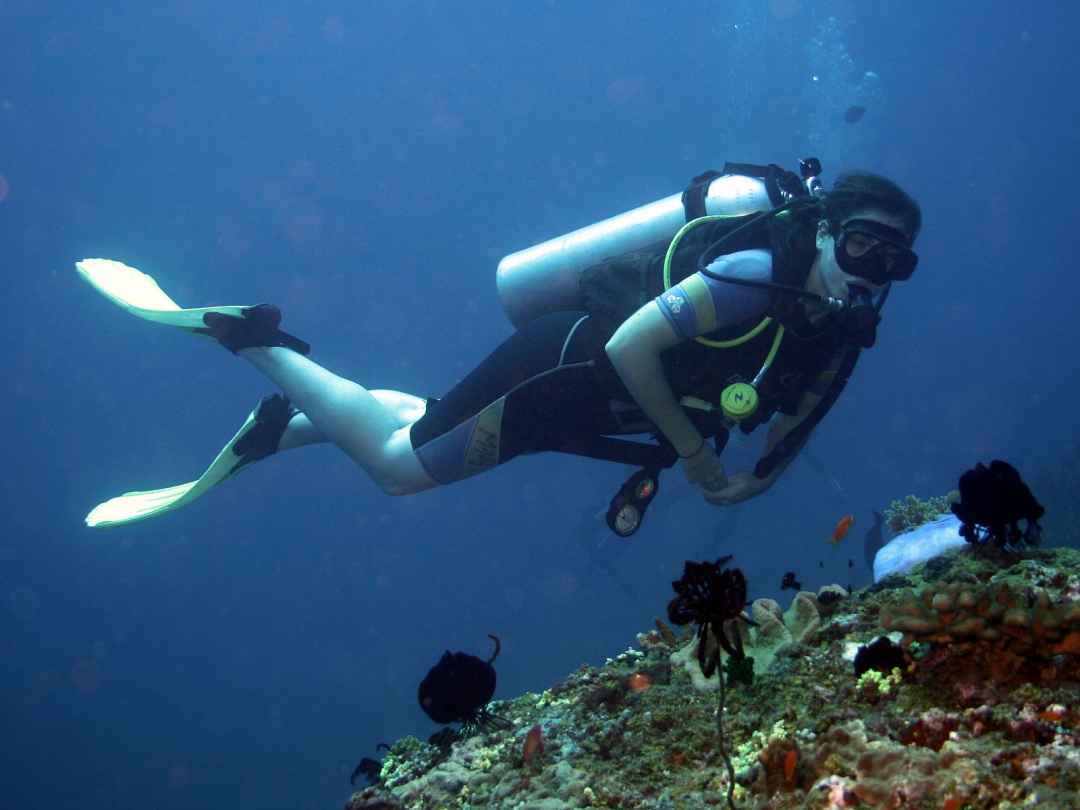 SCUBA DIVING  IN HAVELOCK ISLAND ANDAMAN 