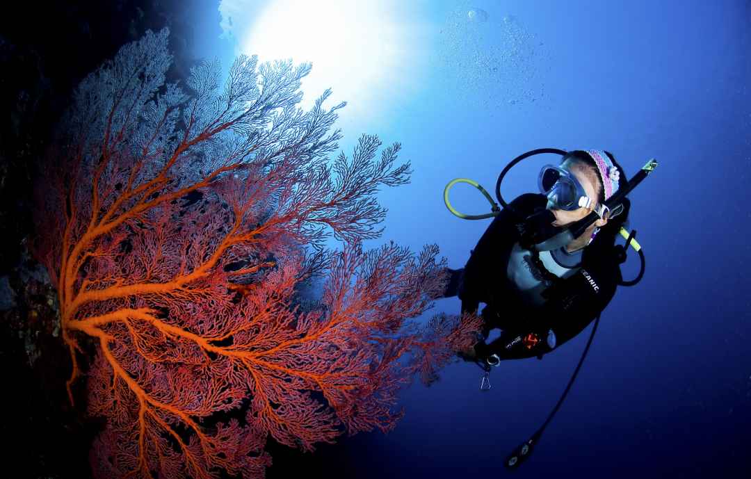 SCUBA DIVING  IN HAVELOCK ISLAND ANDAMAN 