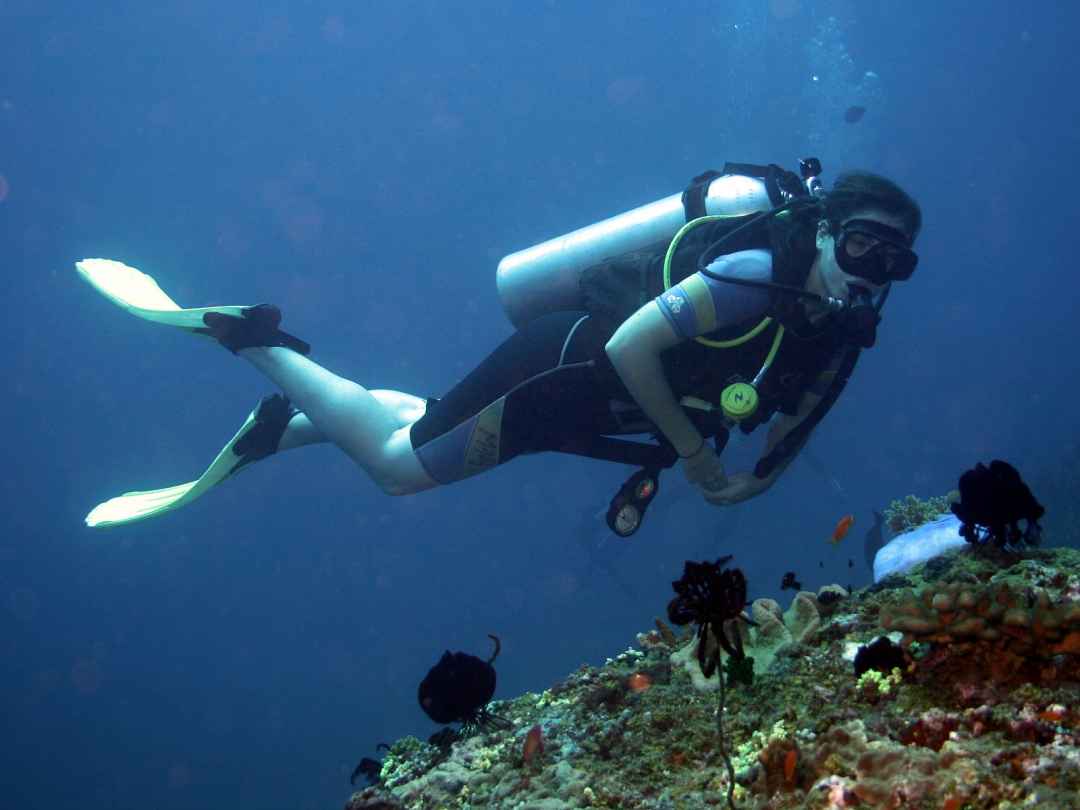 Scuba Diving In Andaman Havelock Island