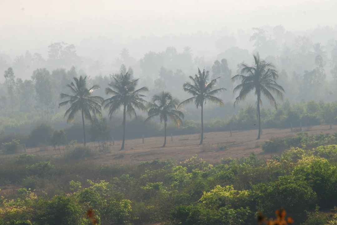 Skandagiri Sunrise Trek