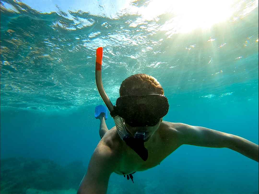 Snorkeling in Neil Island Andaman and Nicobar Islands