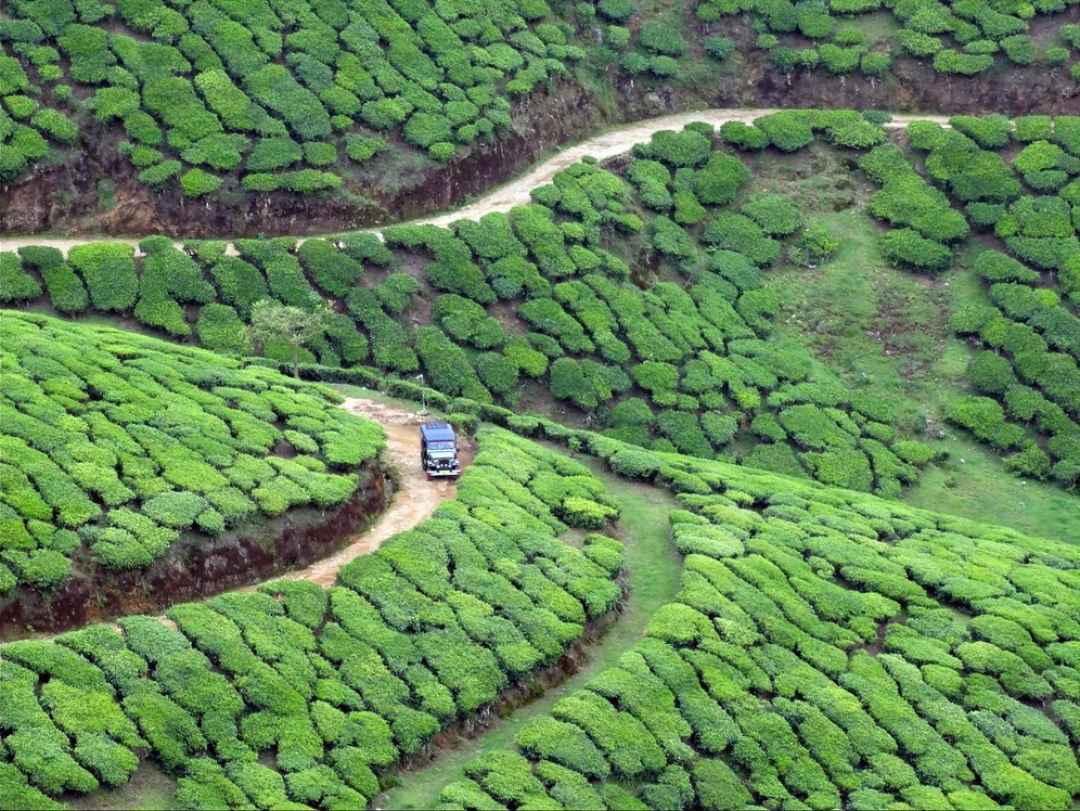 kolukkumalai sunrise jeep safari