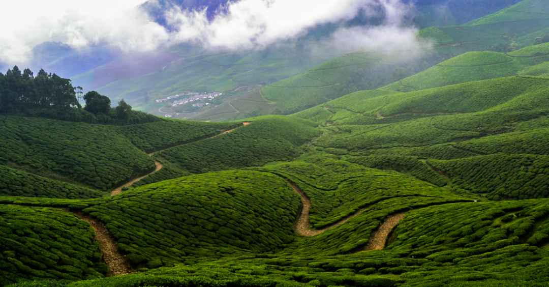 kolukkumalai sunrise jeep safari