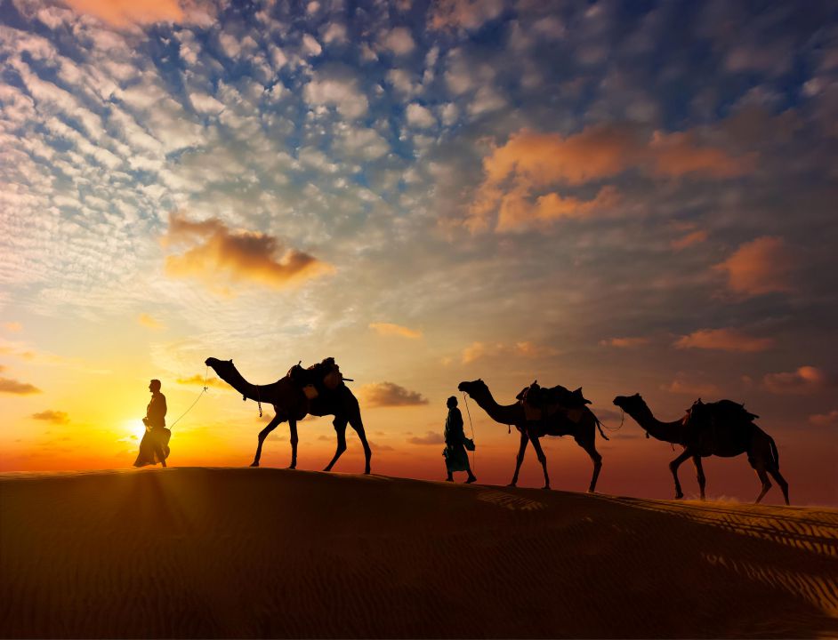 India (13)