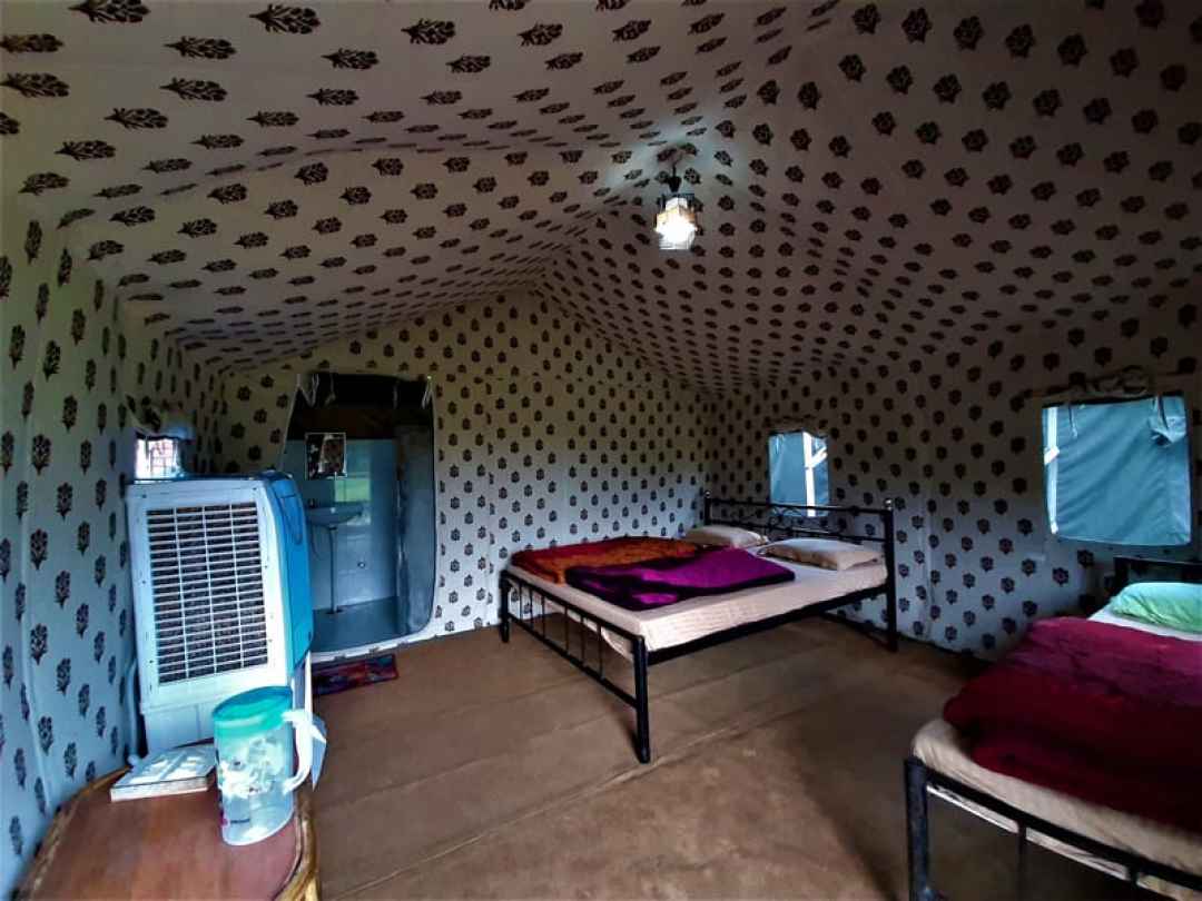 Jungle Camping in Rishikesh