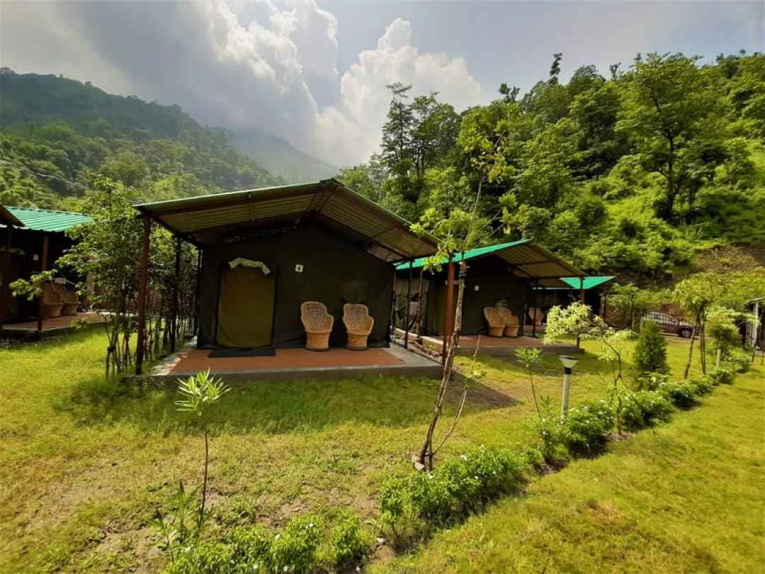 Jungle Camping in Rishikesh