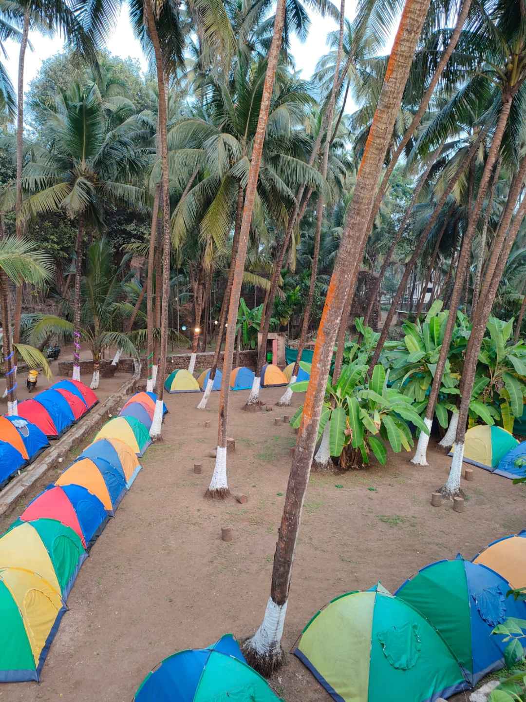 Tent by the bay Alibaug beach camping 
