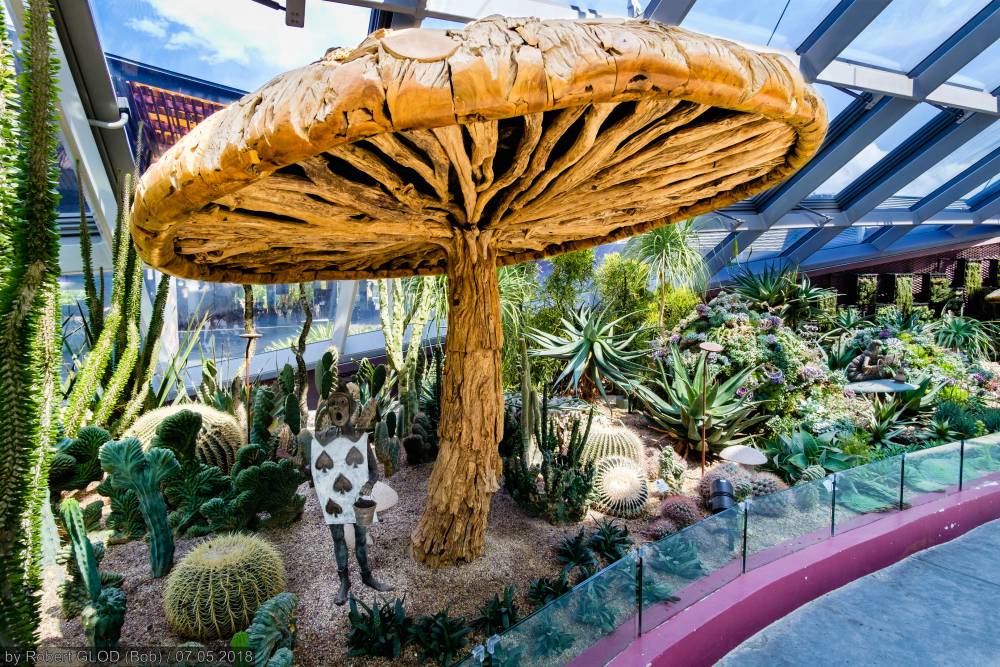 Flower Dome Singapore in Gardens by the Bay Singapore Tickets