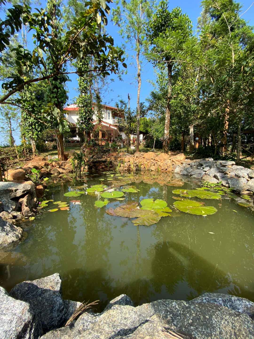 Family Room Garden view