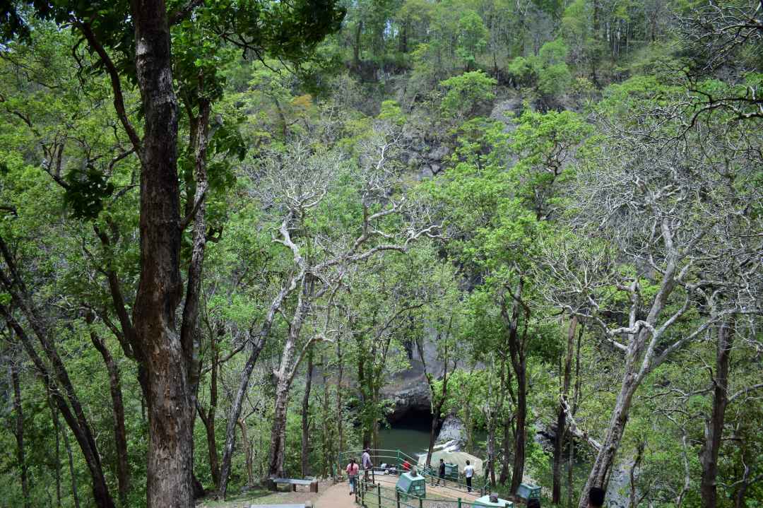 Dandeli River Rafting And Jungle Trekking from Mumbai