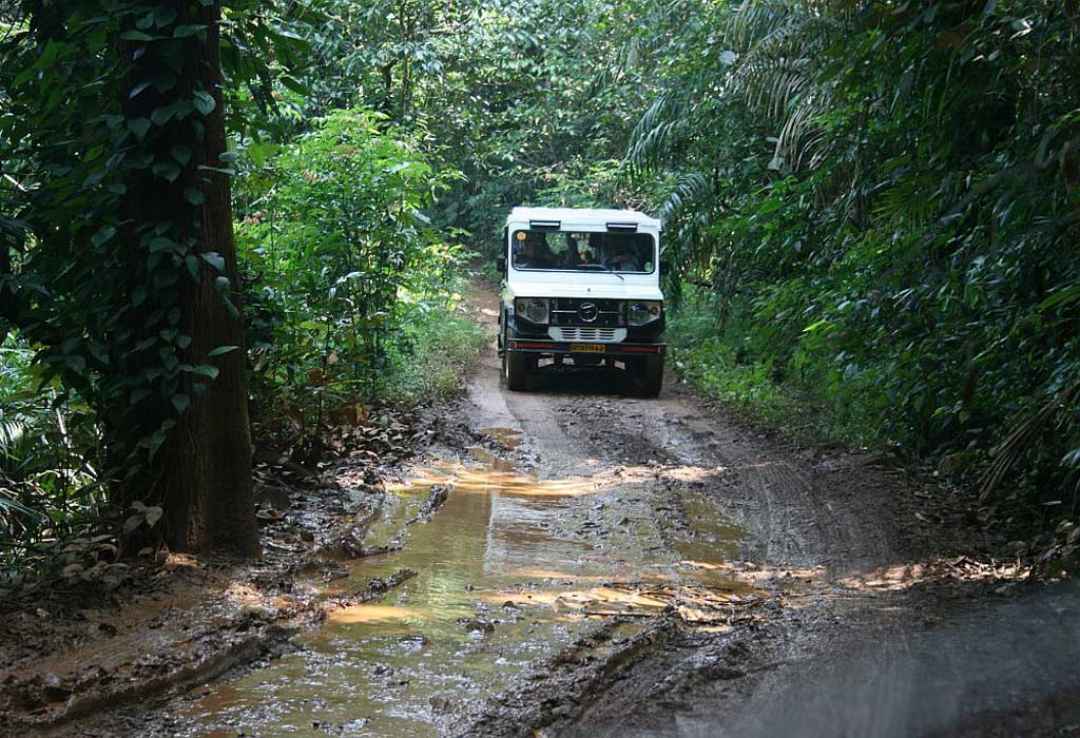 Dudhsagar Falls Jeep Safari Day Trip