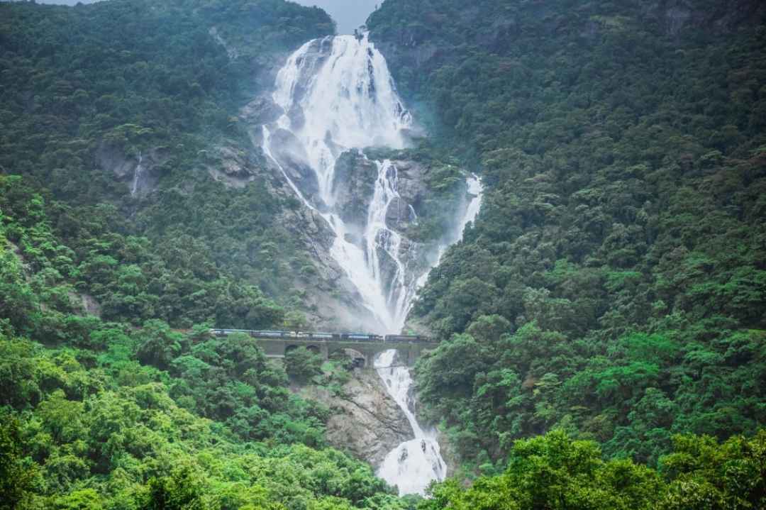 Dudhsagar Falls Jeep Safari Day Trip