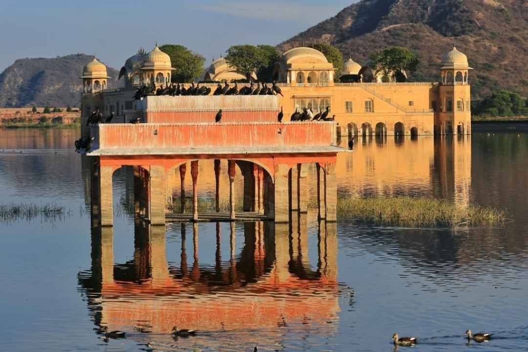 Full Day Jaipur Tour with Guide Transport and Lunch