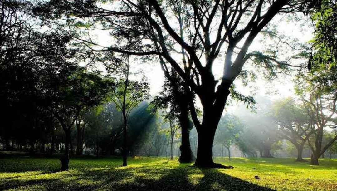 Heritage City Walk to Cubbon Park