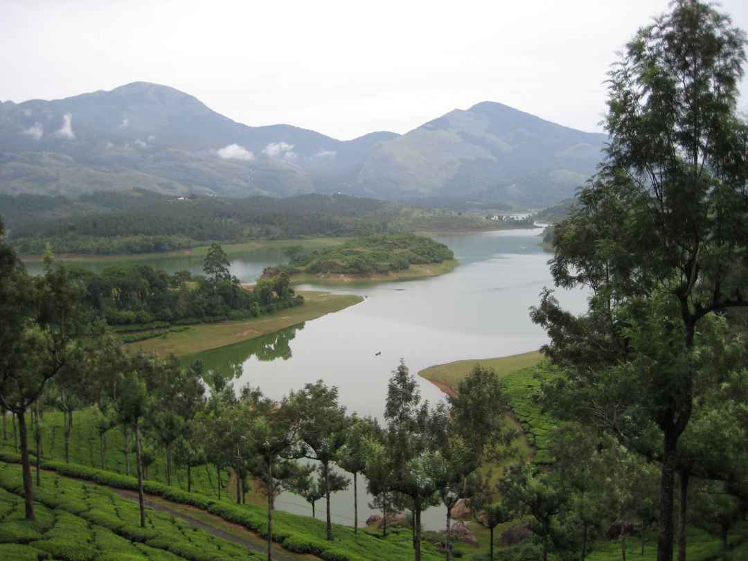 Munnar Sightseeing Tour by Coach