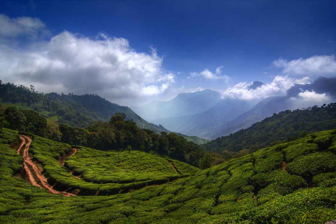 munnar trip in july