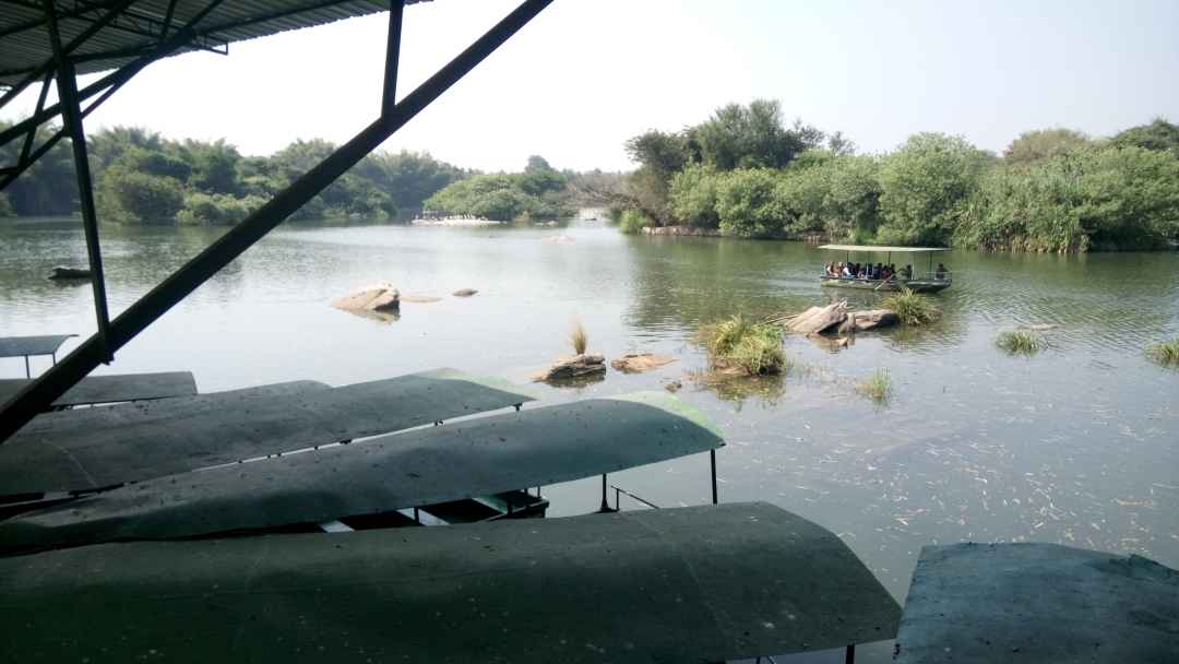 Ranganathittu Bird Sanctuary Tours from bengaluru