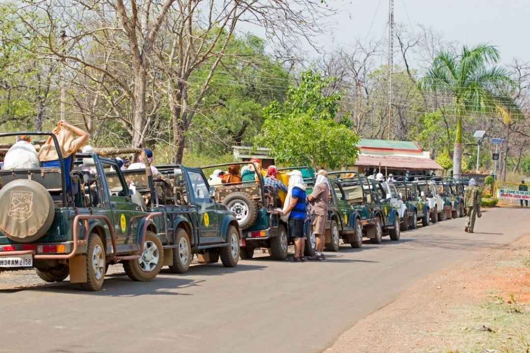 Ranthambore Day Safari From Jaipur By Jeep