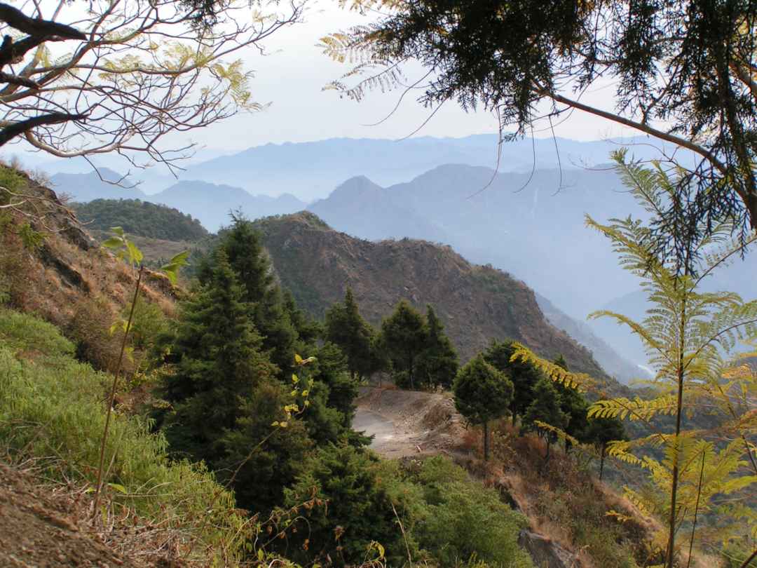 Rishikesh Wilderness Treks and Trails From Delhi