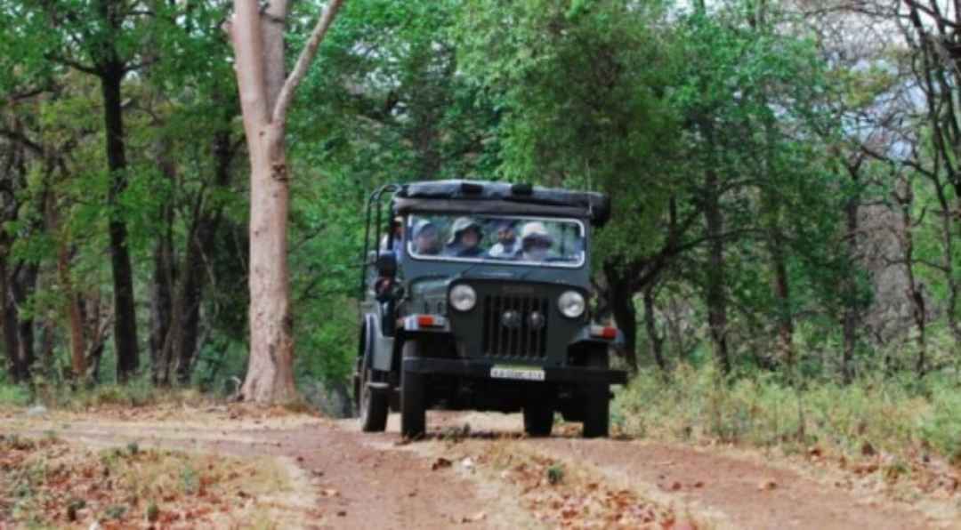 Jeep Safari in NAGARAHOLE NATIONAL PARK