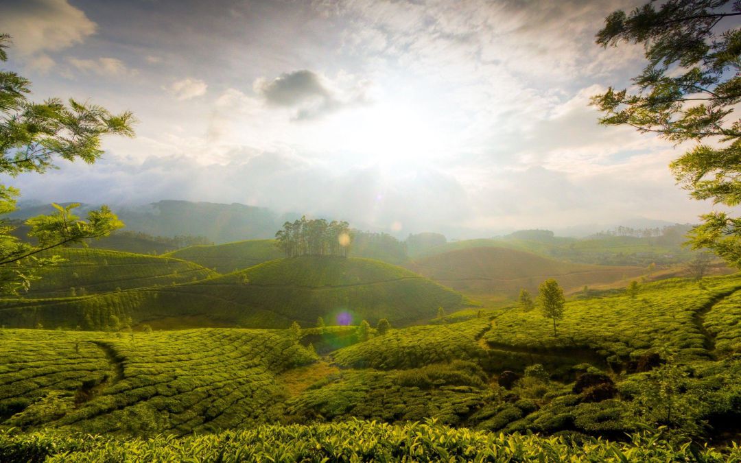 India (45)